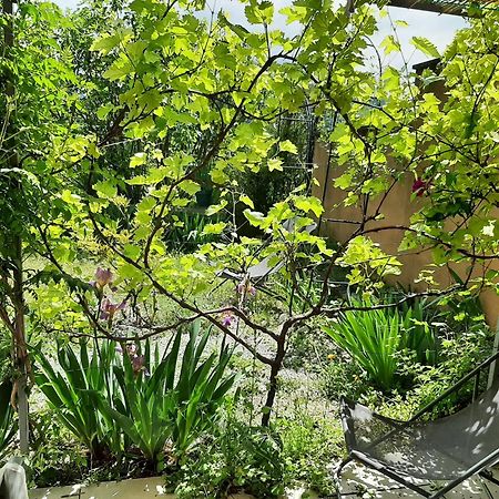 T.Belle Vue Panoramique Au Coeur Du Luberon 40M2 + Pergola . Jardin. P Διαμέρισμα Apt Εξωτερικό φωτογραφία