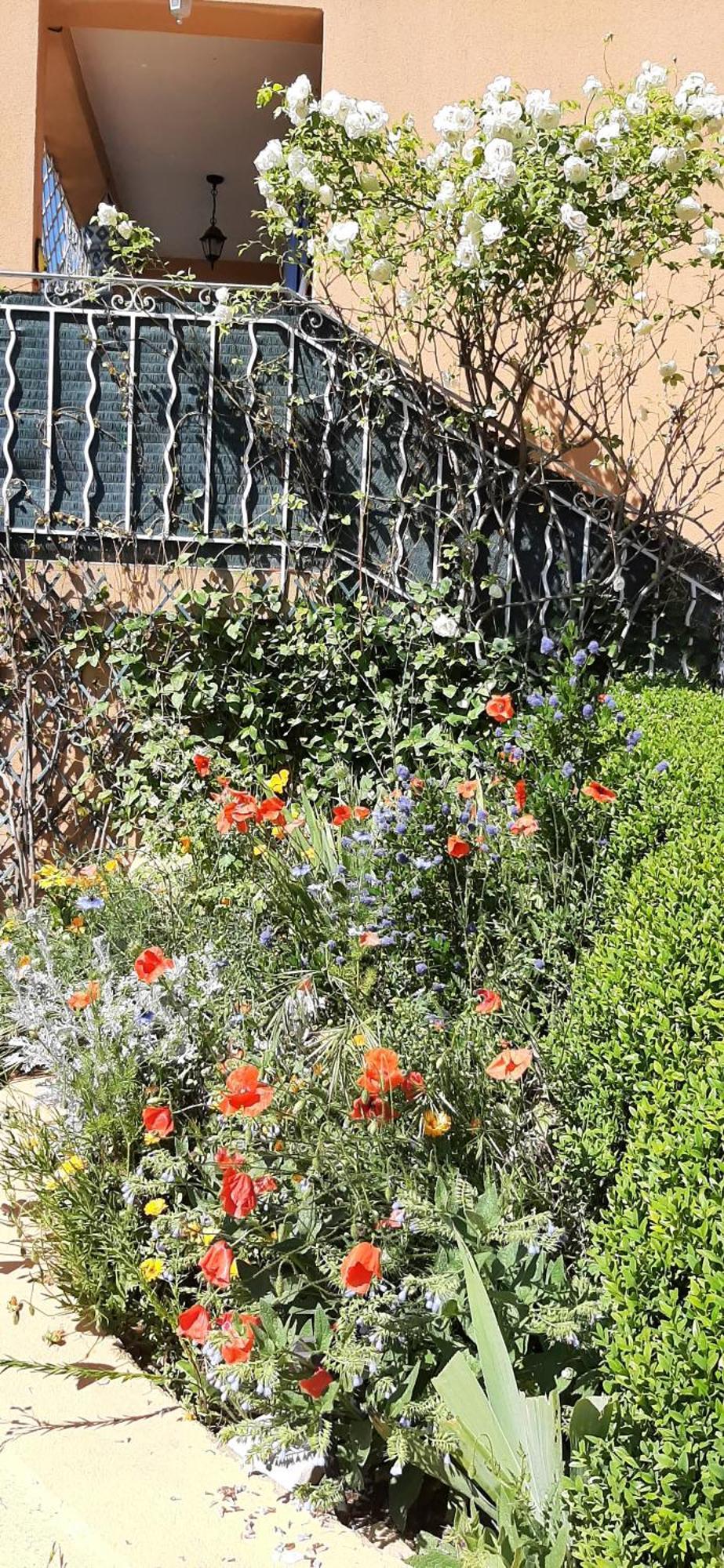 T.Belle Vue Panoramique Au Coeur Du Luberon 40M2 + Pergola . Jardin. P Διαμέρισμα Apt Εξωτερικό φωτογραφία