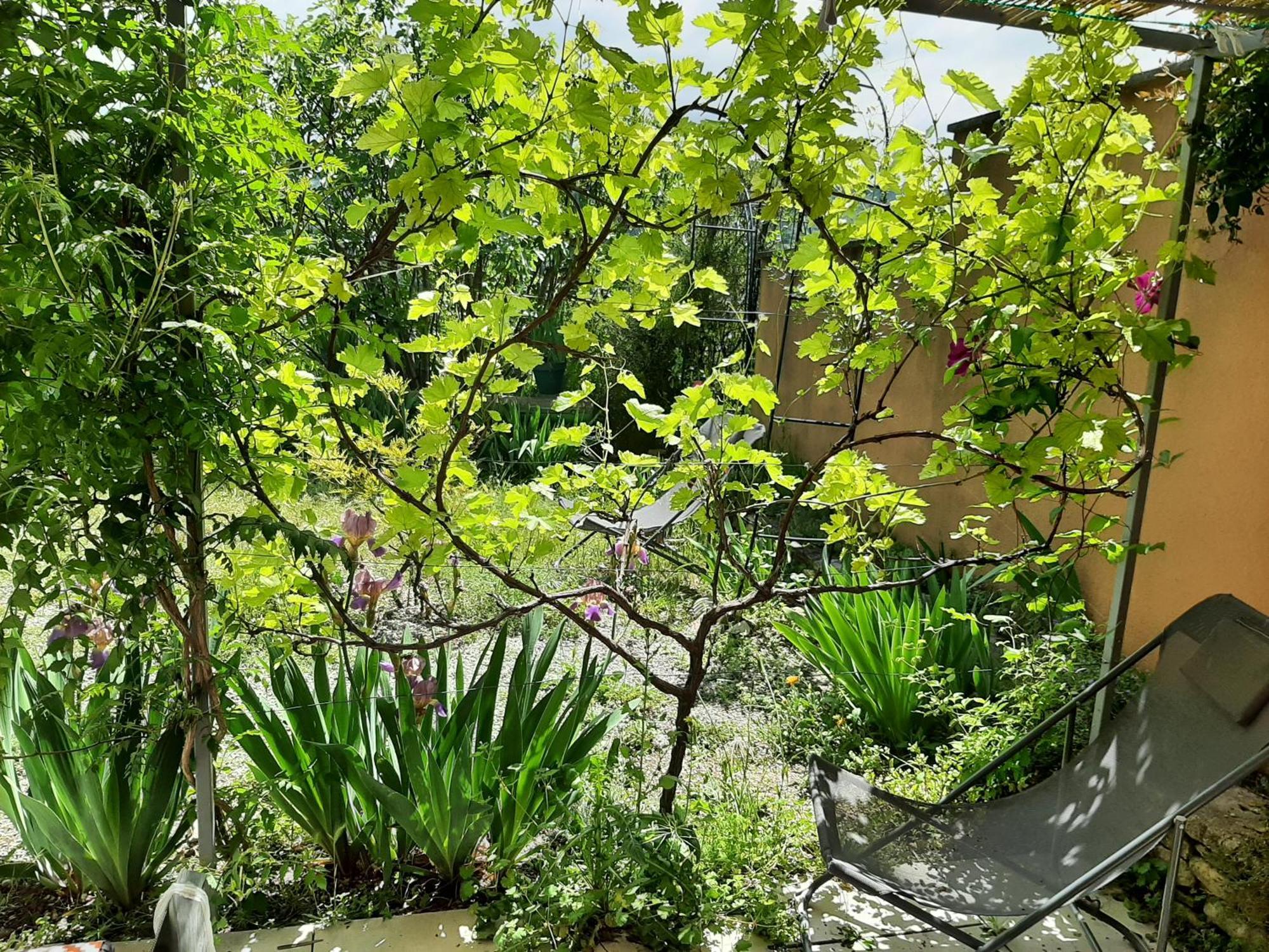 T.Belle Vue Panoramique Au Coeur Du Luberon 40M2 + Pergola . Jardin. P Διαμέρισμα Apt Εξωτερικό φωτογραφία